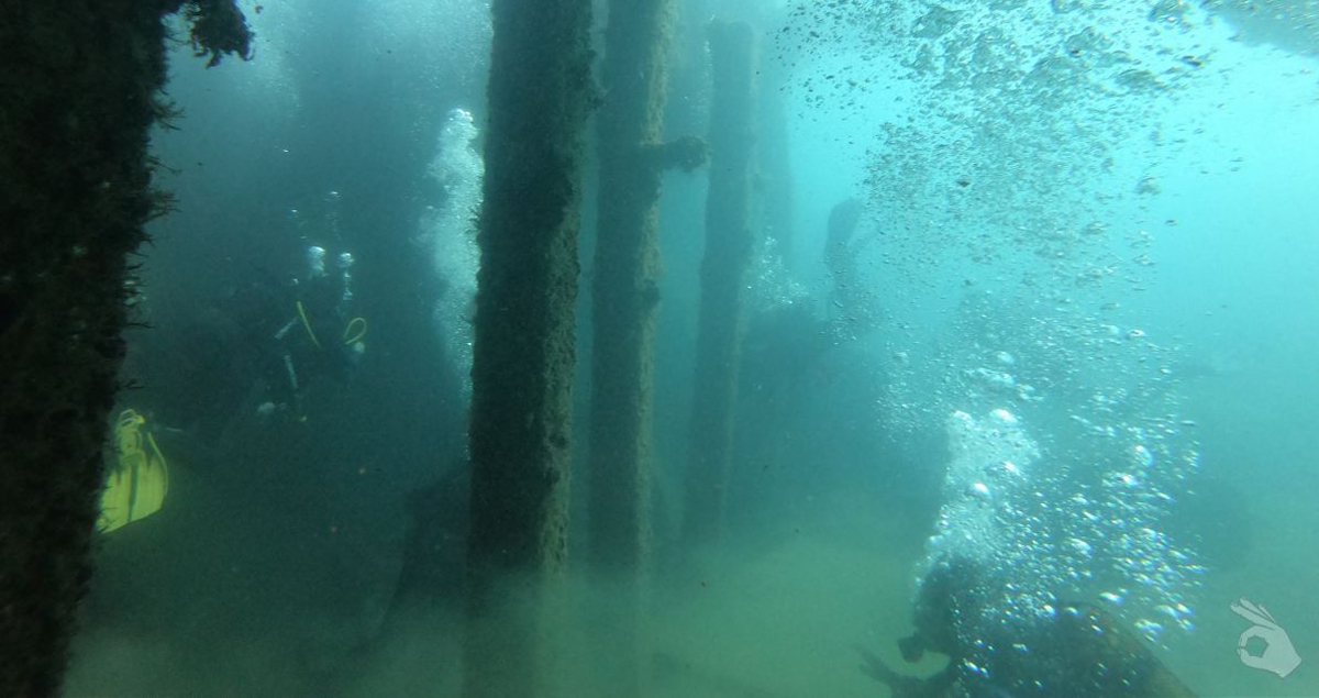 Pecio en La Pobla de Farnals