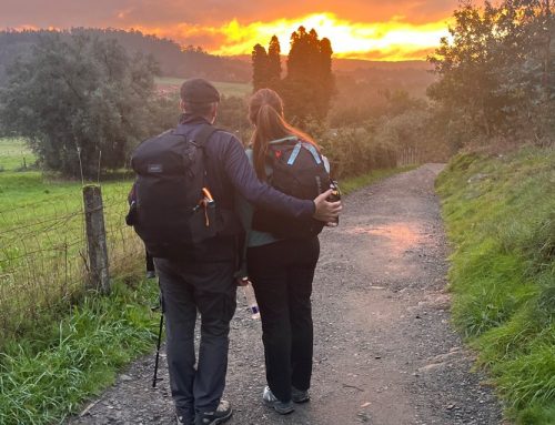 Mi Camino de Santiago 2024